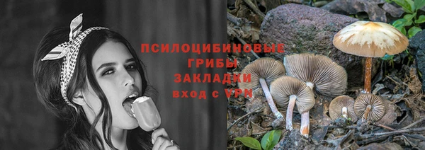 соль курить ск Верея