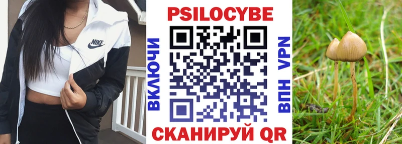 Псилоцибиновые грибы Psilocybine cubensis  Чебоксары 
